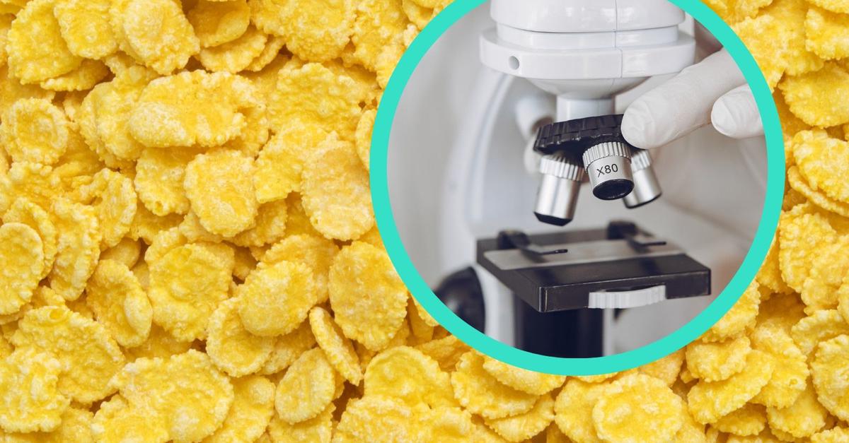 Cornflakes im Vergleich Öko Test warnt vor großen Marken